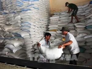 Mua tạm trữ lúa gạo – Giải pháp điều tiết thị trường